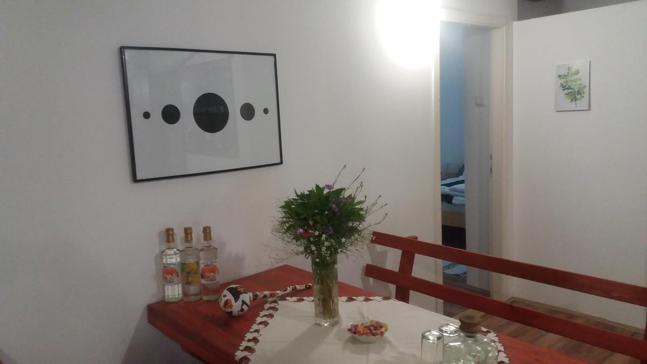 Santa Maria Apartment Donji Kovilj Ngoại thất bức ảnh